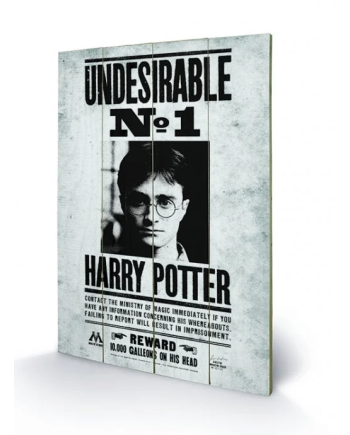 HARRY POTTER - Printing on wood 40X59 - Undesirable N° 1
