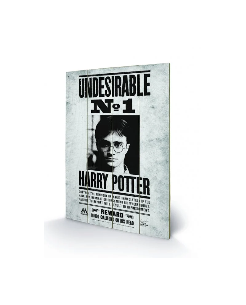 HARRY POTTER - Printing on wood 40X59 - Undesirable N° 1