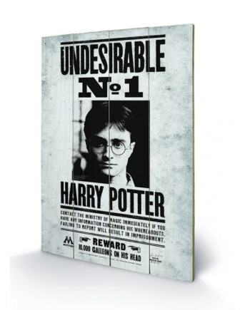 HARRY POTTER - Printing on wood 40X59 - Undesirable N° 1