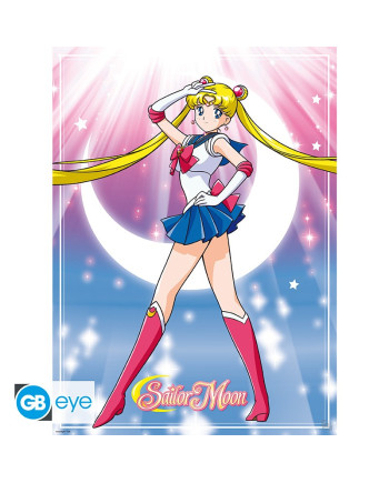 SAILOR MOON - Sailor Moon & Cats - Set 2 posters '52x38'