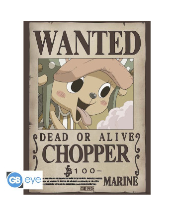 ONE PIECE - Wanted Chopper & Brook - Set 2 posters '52x38'