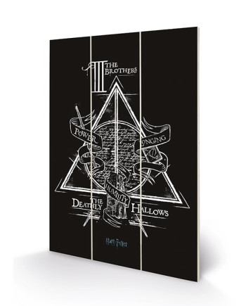 HARRY POTTER - Deathly Hallows - Wood Print 20x29.5