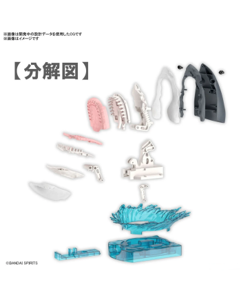 EXPLORING LAB NATURE - Great White Shark - Model Kit