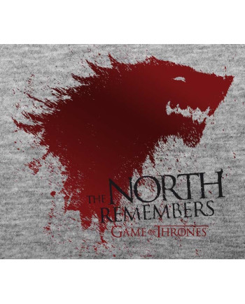 GAME OF THRONES - T-Shirt The North ... Men (S)