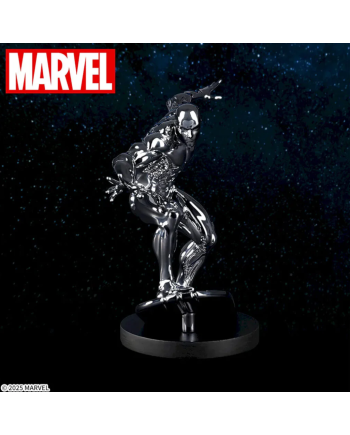 Figurine Silver Surfer Édition Collector - Marvel