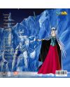 Dos du vinyle Saint Seiya Music Collection Vol. 6 avec Hilda de Polaris et la liste des morceaux