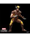 Figurine Wolverine Brown Suit Marvel Legends Series 15cm packaging