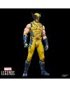 Figurine Wolverine Marvel Legends Series 15 cm - vue de profil
