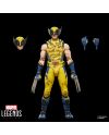 Packaging de la figurine Wolverine Deadpool & Wolverine Legends Series