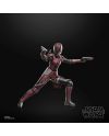 Figurine Maul Shadow Lord Rook Kast détails du visage et de la tenue