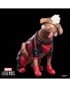 Figurine Dogpool et Deadpool Legend Series 15cm Hasbro Marvel - packaging officiel