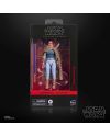 Figurine Maul Shadow Lord Hasbro Black Series - vue de profil