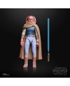 Figurine Maul Shadow Lord Star Wars Black Series - présentation complète