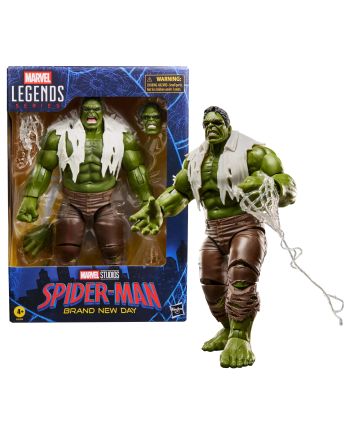 Figurine Hulk Marvel Legends Series 15cm Hasbro - vue face