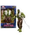 Figurine Hulk Marvel Legends Series 15cm Hasbro - vue face
