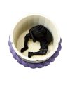 NARUTO - Sasuke's Coffin - Figurine Figure Life 10cm - vue du packaging