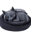 CULT CUTIES - Malpuss "Dreams" - Statuette 8.8cm - vue de detail