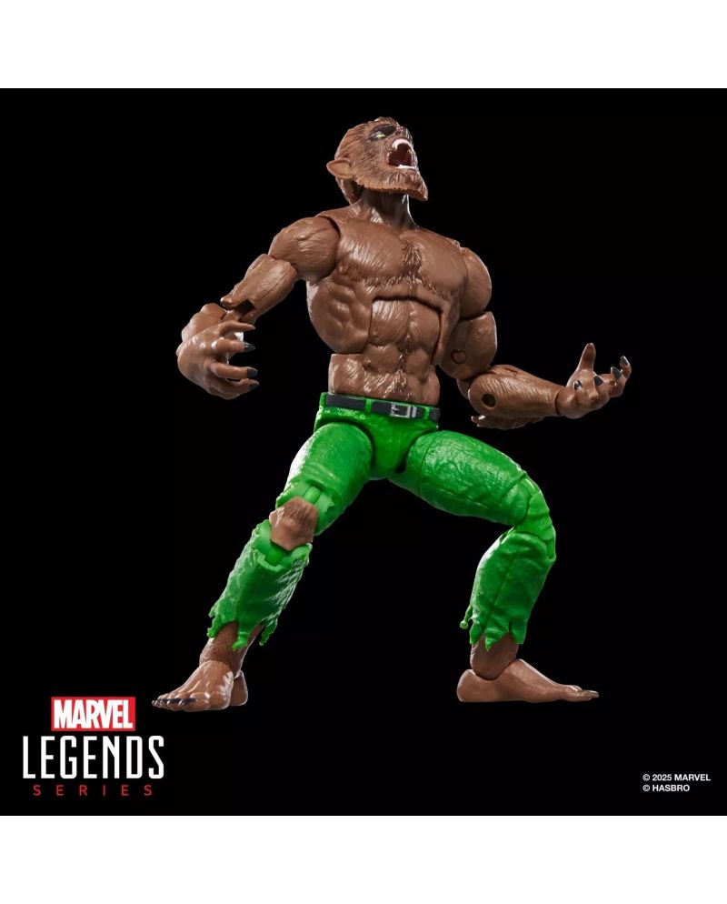 Figurine Marvel Legends Werewolf by Night 15 cm vue de face - Hasbro