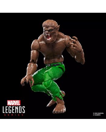 Figurine Marvel Legends Werewolf by Night 15 cm vue arriere - Hasbro