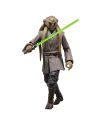 Figurine Kit Fisto Hasbro vue arrière articulation et finitions