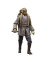Packaging collector Star Wars Black Series Kit Fisto avec visuel du personnage