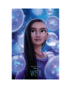 Poster Disney WISH Held 61 x 91 cm édité par Pyramid