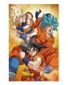 Poster 3D Dragon Ball Super Goku Evolution - vue principale