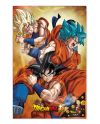 Poster 3D Dragon Ball Super Goku Evolution - détail du visuel