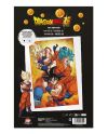 Poster 3D Dragon Ball Super Goku Evolution - format 58x38 cm