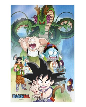 Poster 3D Dragon Ball Shenron et Héros - vue de face - 58x38cm