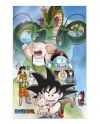 Poster 3D Dragon Ball Shenron et Héros - vue de face - 58x38cm