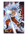 Poster 3D Dragon Ball Super Goku le Survivant 58x38cm - vue principale