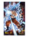 Poster 3D Dragon Ball Super Goku le Survivant - détail de l'effet 3D