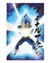 Poster 3D Vegeta le Survivant Dragon Ball Super vue principale 58x38cm
