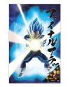 Poster 3D Dragon Ball Super Vegeta le Survivant détail visuel
