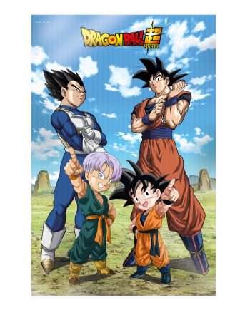 Poster 3D Dragon Ball Super Famille 58x38cm - vue de face