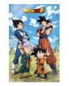 Poster 3D Dragon Ball Super Famille 58x38cm - vue de face