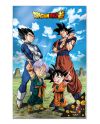 Poster 3D Dragon Ball Super Famille 58x38cm - détail de l'effet relief