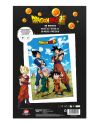Poster 3D Dragon Ball Super Famille 58x38cm - vue d'ensemble