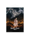 Wallscroll Attack on Titan The Final Season Visual 1 format 50x70cm