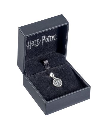 Vue détaillée du charme Harry Potter Plateforme 9 3/4