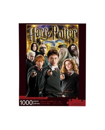 HARRY POTTER - Collage - Puzzle 1000P - vue principale