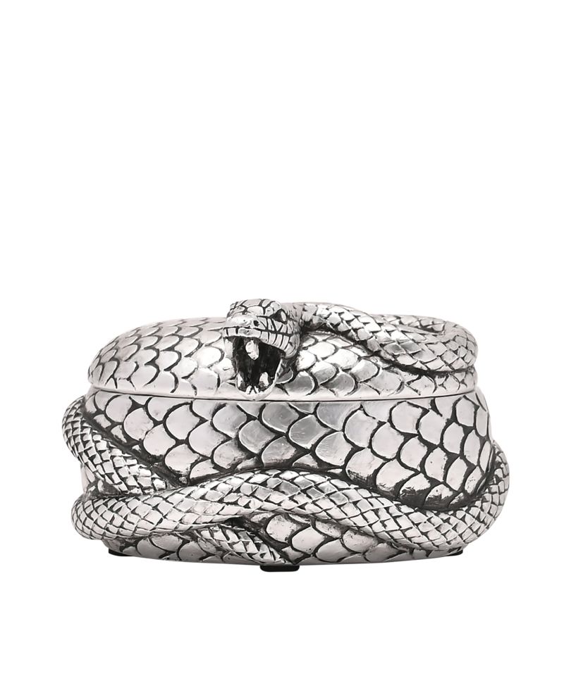 HARRY POTTER - Nagini - Boîte à Bijoux Argenté - vue principale