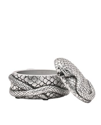 HARRY POTTER - Nagini - Boîte à Bijoux Argenté - vue de profil