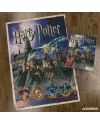 HARRY POTTER - Hogwarts - Puzzle 1000P - vue de face