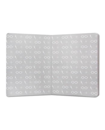 HARRY POTTER - Lunettes - Cahier A5 - vue de face