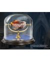 HARRY POTTER - Pierre Philosophale - vue de face