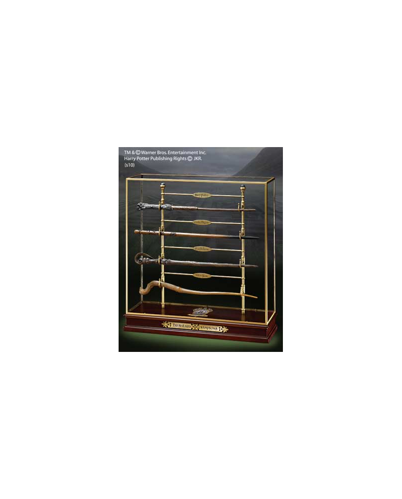 HARRY POTTER - Les Champions du Tournoi des 3 Sorciers - Vitrine - vue principale