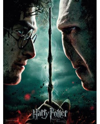 HARRY POTTER - Impression en Verre - Harry / Voldemort - 30X40 Cm - vue principale