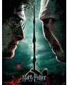 HARRY POTTER - Impression en Verre - Harry / Voldemort - 30X40 Cm - vue principale